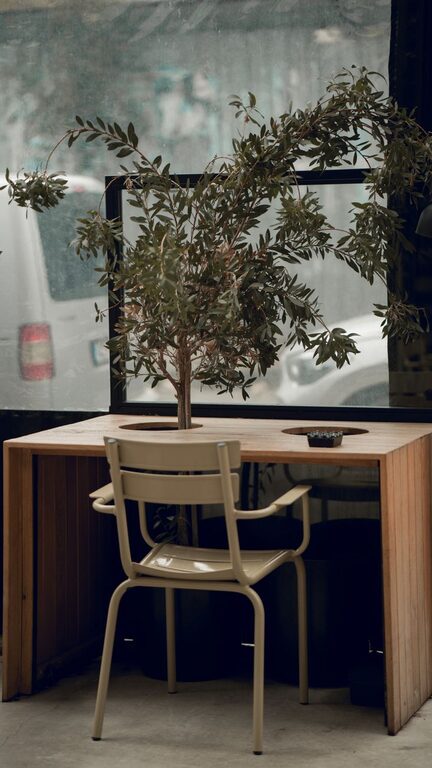 Tips for Creating a Relaxing Home Office Environment